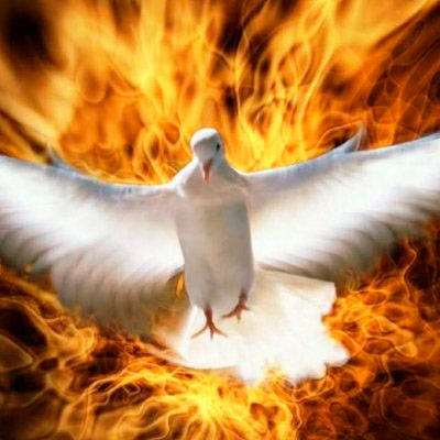 The Work of the Holy Spirit | Daily Bible Readings